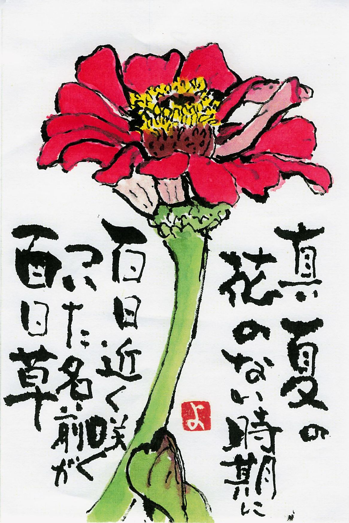 作品番号16】真夏の花がない時期に百日近く咲く ついた名前が百日草